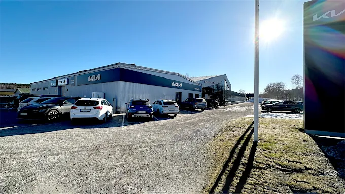 Björkmans Bil Ludvika